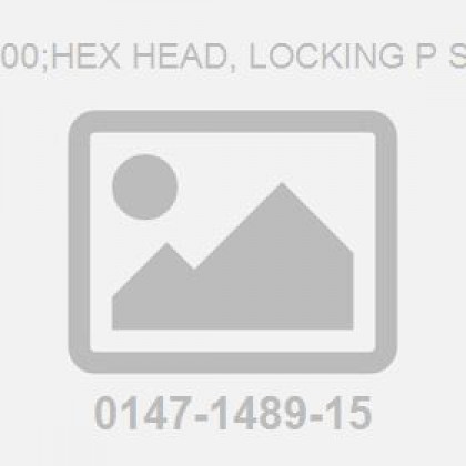 M16X100;Hex Head, Locking P Screw